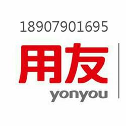 軟件技術服務的綜合供應與批發 廠家的專業解析